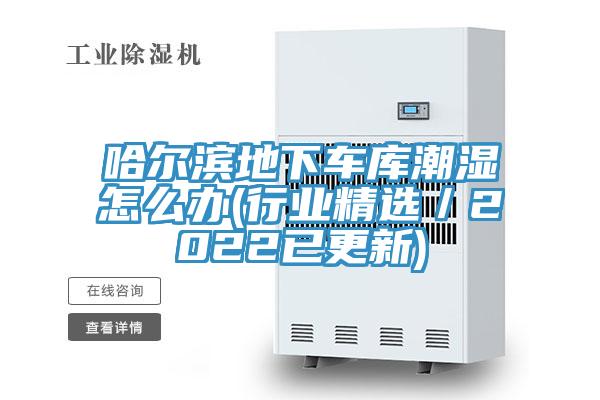 哈爾濱地下車庫(kù)潮濕怎么辦(行業(yè)精選／2022已更新)