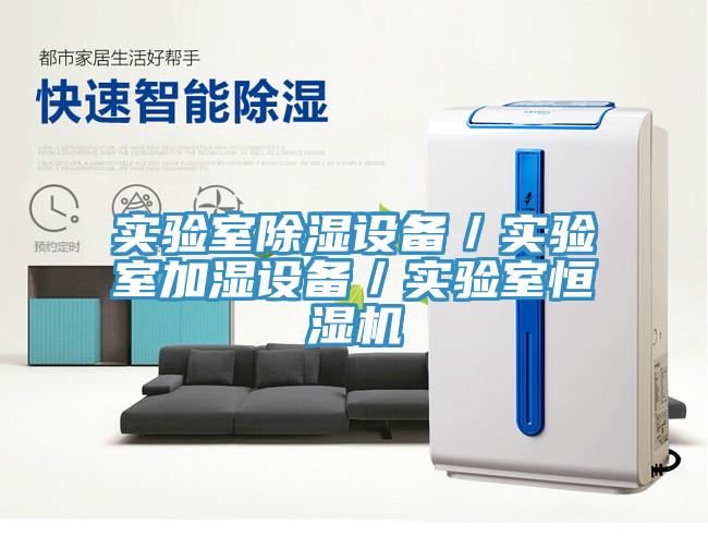 實(shí)驗(yàn)室除濕設(shè)備／實(shí)驗(yàn)室加濕設(shè)備／實(shí)驗(yàn)室恒濕機(jī)