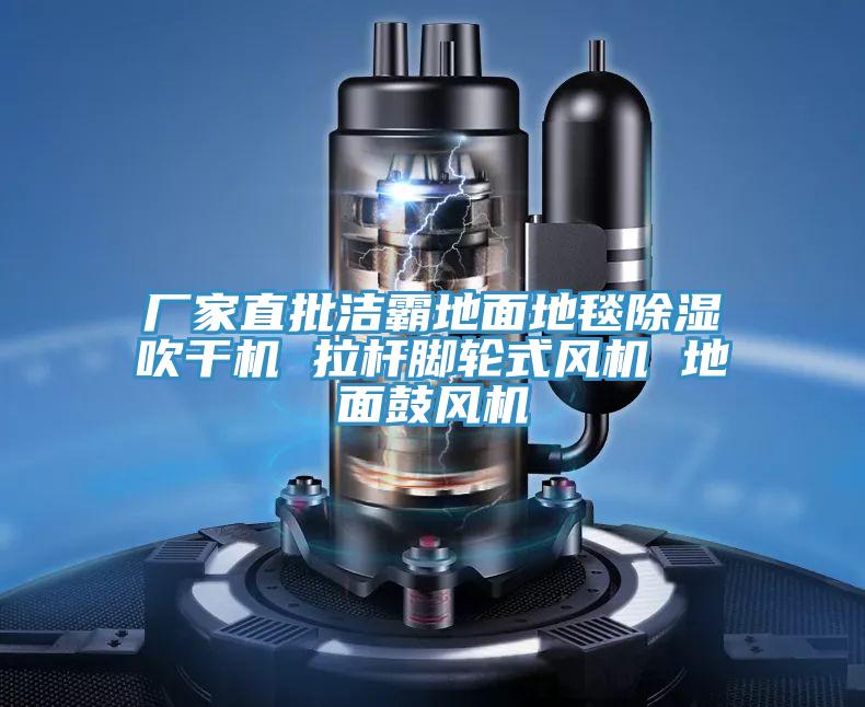 廠家直批潔霸地面地毯除濕吹干機(jī) 拉桿腳輪式風(fēng)機(jī) 地面鼓風(fēng)機(jī)