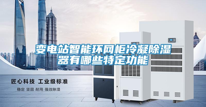 變電站智能環(huán)網(wǎng)柜冷凝除濕器有哪些特定功能