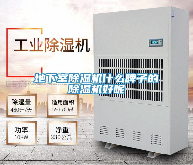 地下室除濕機(jī)什么牌子的除濕機(jī)好呢