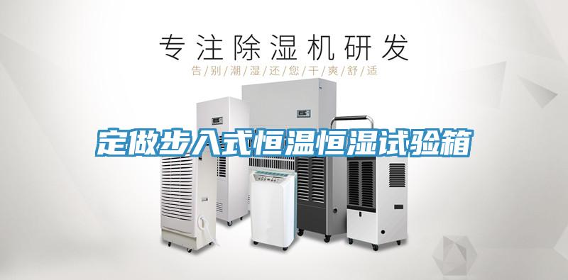 定做步入式恒溫恒濕試驗箱