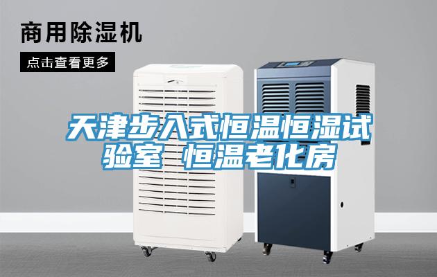 天津步入式恒溫恒濕試驗(yàn)室 恒溫老化房