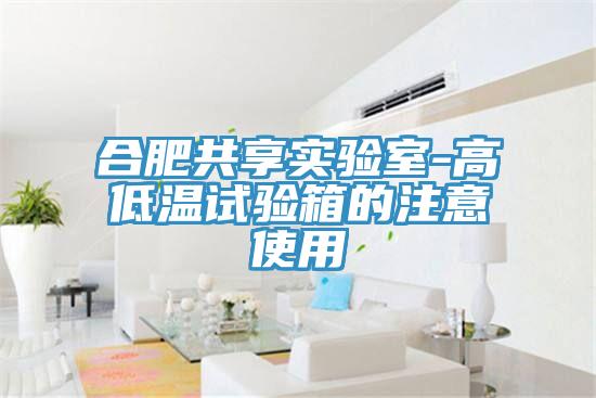 合肥共享實(shí)驗(yàn)室-高低溫試驗(yàn)箱的注意使用