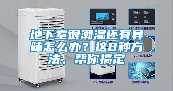 地下室很潮濕還有異味怎么辦？這8種方法，幫你搞定