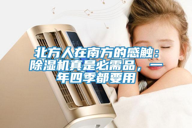 北方人在南方的感觸：除濕機(jī)真是必需品，一年四季都要用