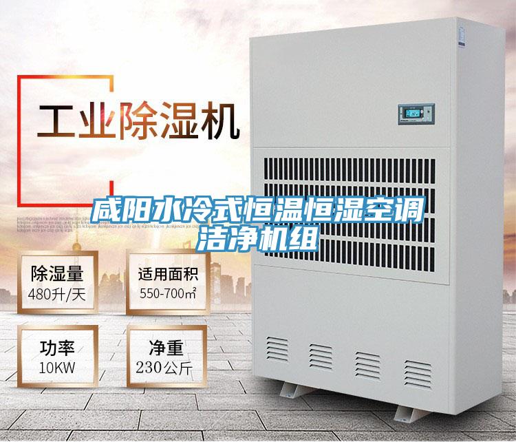 咸陽水冷式恒溫恒濕空調(diào)潔凈機組