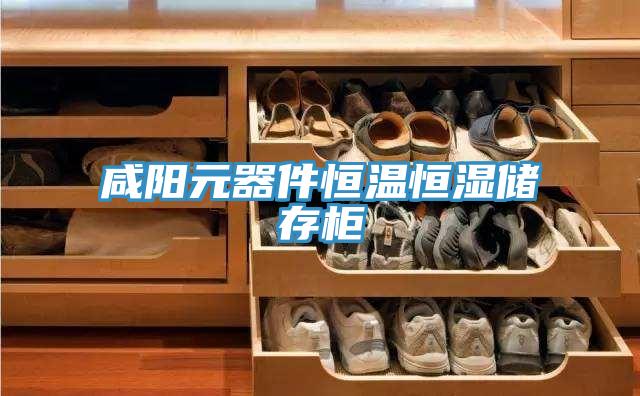 咸陽元器件恒溫恒濕儲存柜