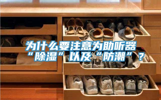 為什么要注意為助聽器“除濕”以及“防潮”？