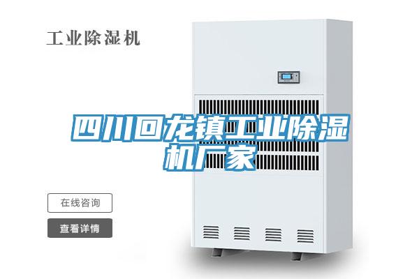 四川回龍鎮(zhèn)工業(yè)除濕機廠家