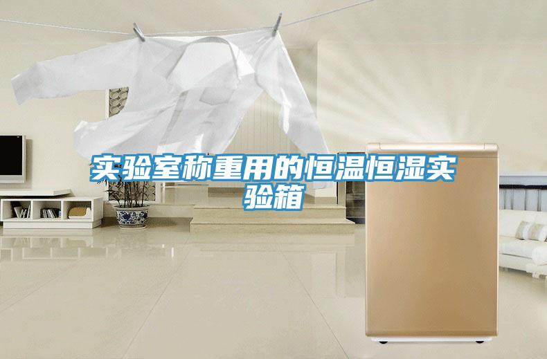 實(shí)驗(yàn)室稱重用的恒溫恒濕實(shí)驗(yàn)箱