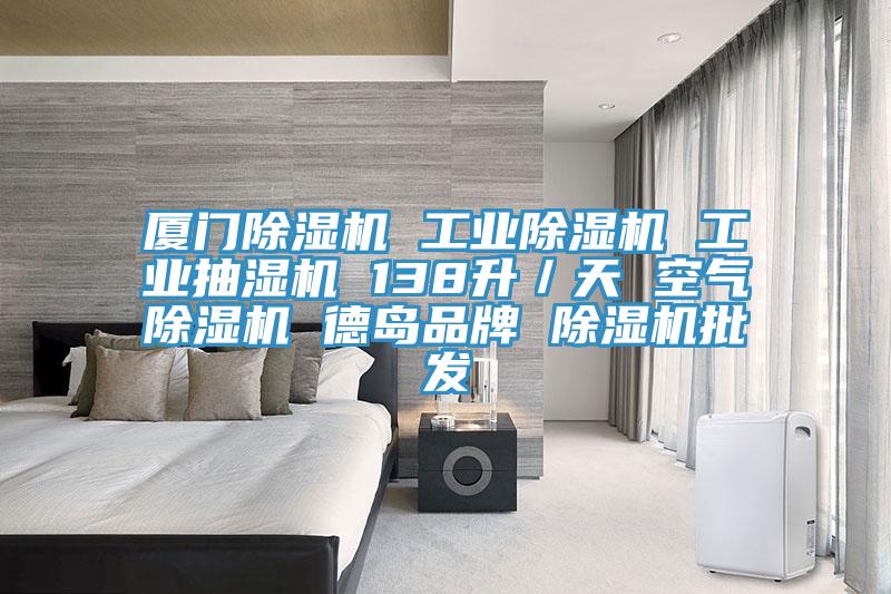 廈門除濕機 工業(yè)除濕機 工業(yè)抽濕機 138升／天 空氣除濕機 德島品牌 除濕機批發(fā)