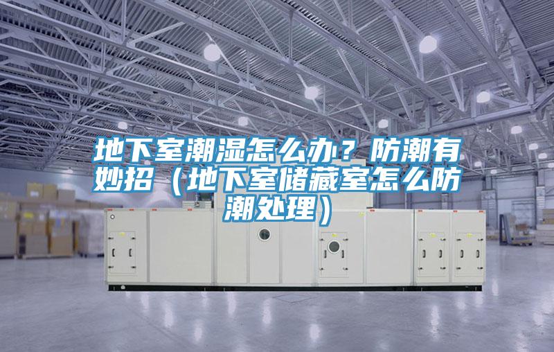 地下室潮濕怎么辦？防潮有妙招（地下室儲(chǔ)藏室怎么防潮處理）