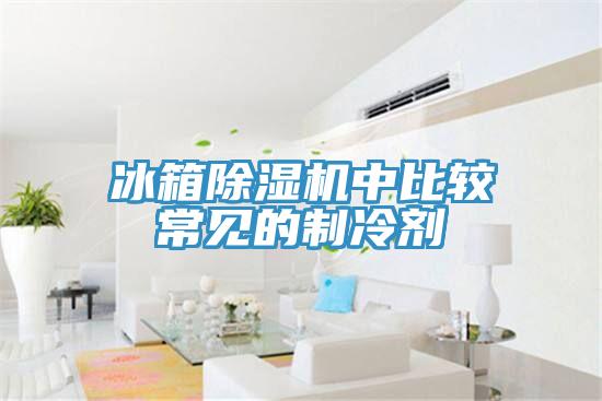 冰箱除濕機(jī)中比較常見(jiàn)的制冷劑