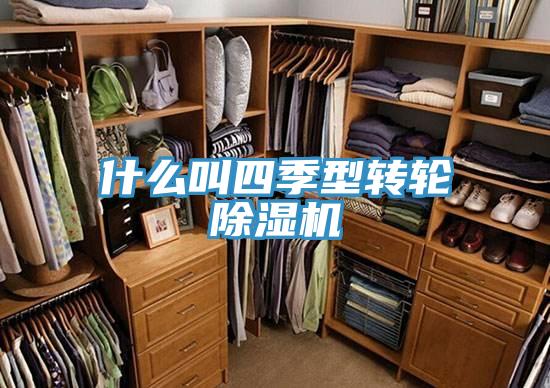 什么叫四季型轉(zhuǎn)輪除濕機