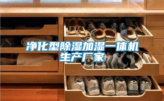 凈化型除濕加濕一體機生產(chǎn)廠家