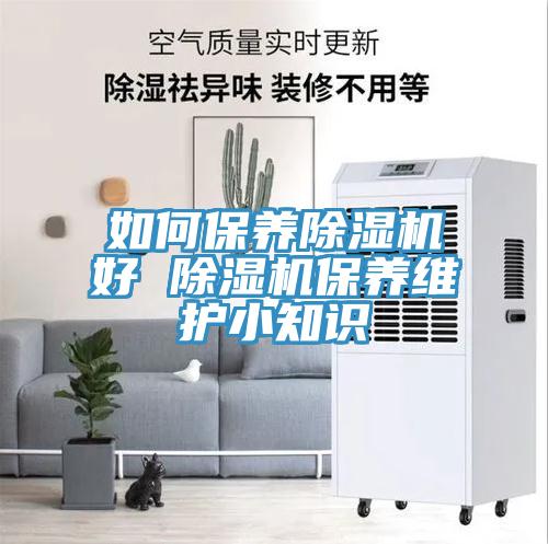 如何保養(yǎng)除濕機好 除濕機保養(yǎng)維護小知識