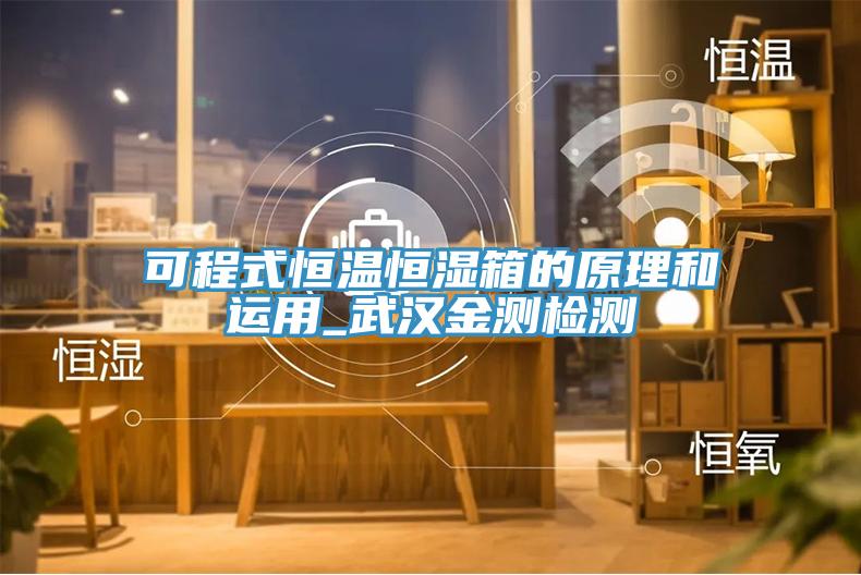可程式恒溫恒濕箱的原理和運(yùn)用_武漢金測檢測