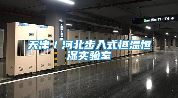 天津／河北步入式恒溫恒濕實(shí)驗(yàn)室