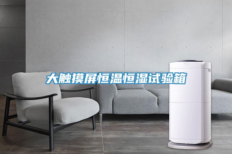 大觸摸屏恒溫恒濕試驗(yàn)箱