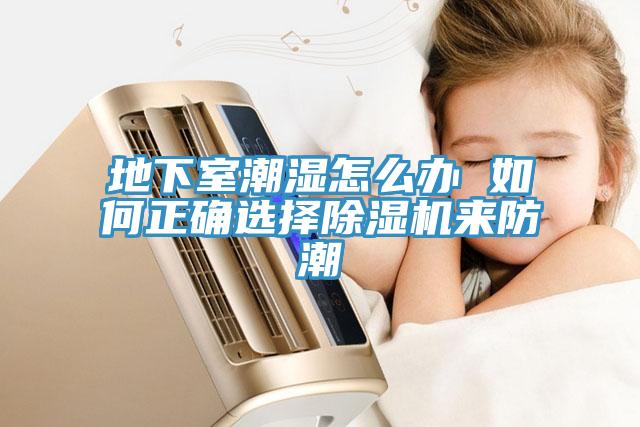 地下室潮濕怎么辦 如何正確選擇除濕機(jī)來防潮
