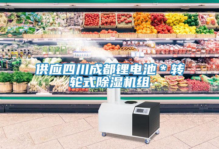 供應(yīng)四川成都鋰電池＊轉(zhuǎn)輪式除濕機組