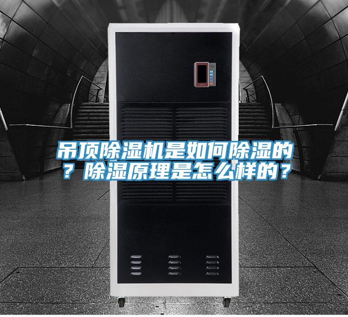 吊頂除濕機(jī)是如何除濕的？除濕原理是怎么樣的？