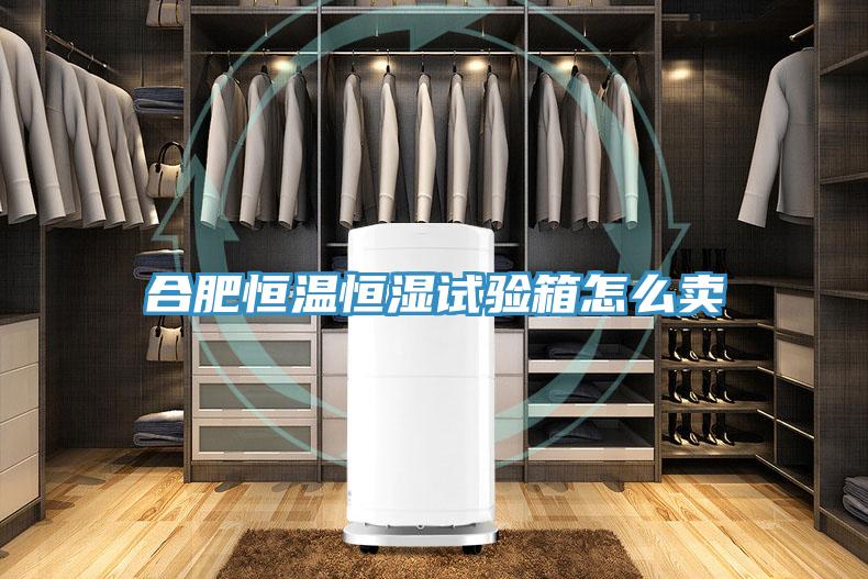 合肥恒溫恒濕試驗(yàn)箱怎么賣