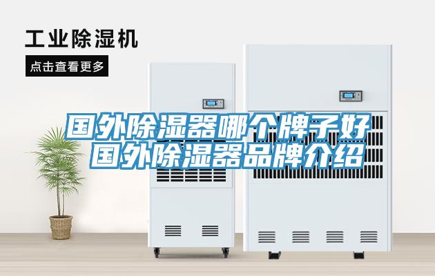 國外除濕器哪個(gè)牌子好 國外除濕器品牌介紹