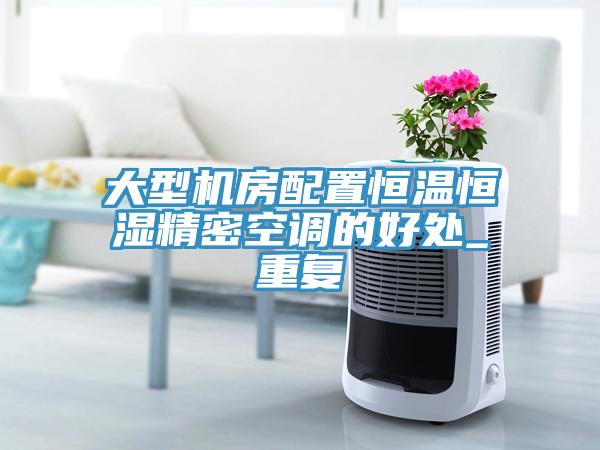 大型機房配置恒溫恒濕精密空調(diào)的好處_重復(fù)