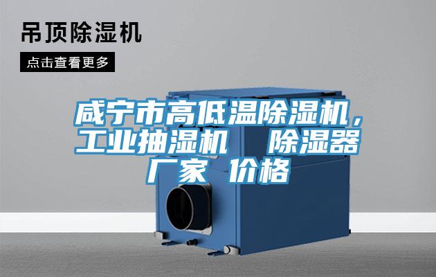 咸寧市高低溫除濕機(jī)，工業(yè)抽濕機(jī)  除濕器廠家 價(jià)格