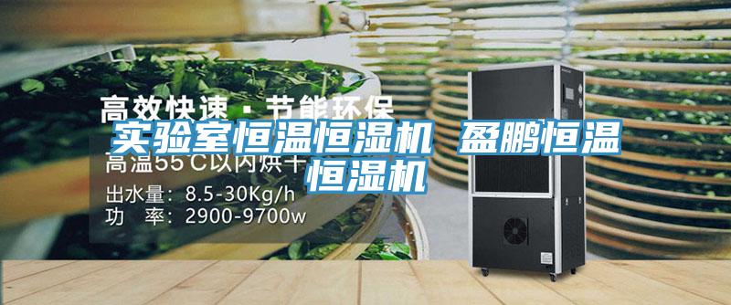 實驗室恒溫恒濕機 盈鵬恒溫恒濕機