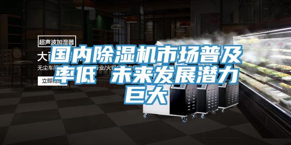 國內(nèi)除濕機(jī)市場(chǎng)普及率低 未來發(fā)展?jié)摿薮?></div>
								<div   id=