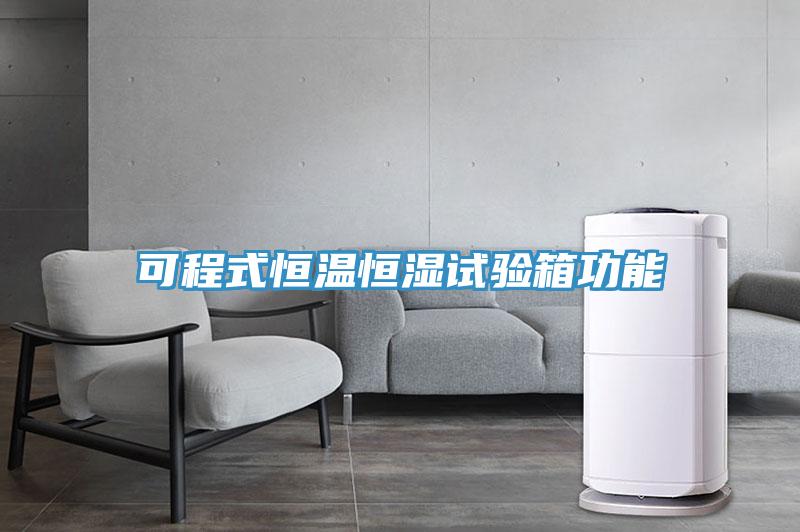 可程式恒溫恒濕試驗(yàn)箱功能