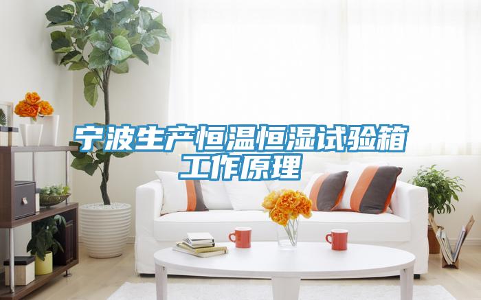 寧波生產恒溫恒濕試驗箱工作原理