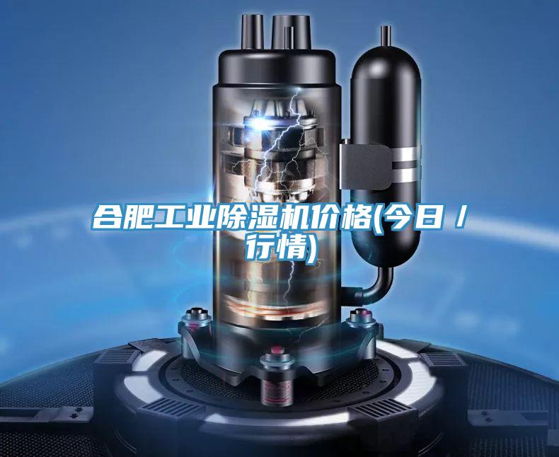 合肥工業(yè)除濕機價格(今日／行情)