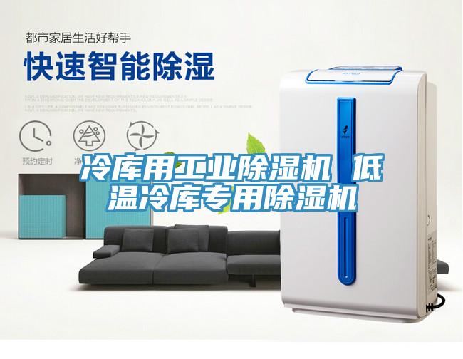 冷庫用工業(yè)除濕機 低溫冷庫專用除濕機