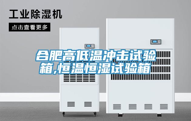 合肥高低溫沖擊試驗(yàn)箱,恒溫恒濕試驗(yàn)箱