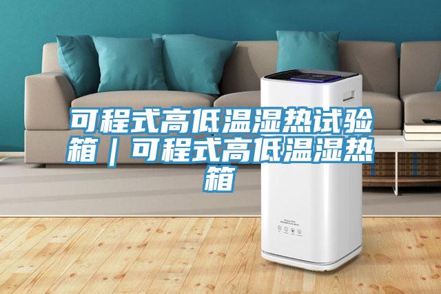 可程式高低溫濕熱試驗(yàn)箱｜可程式高低溫濕熱箱