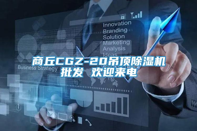 商丘CGZ-20吊頂除濕機批發(fā) 歡迎來電