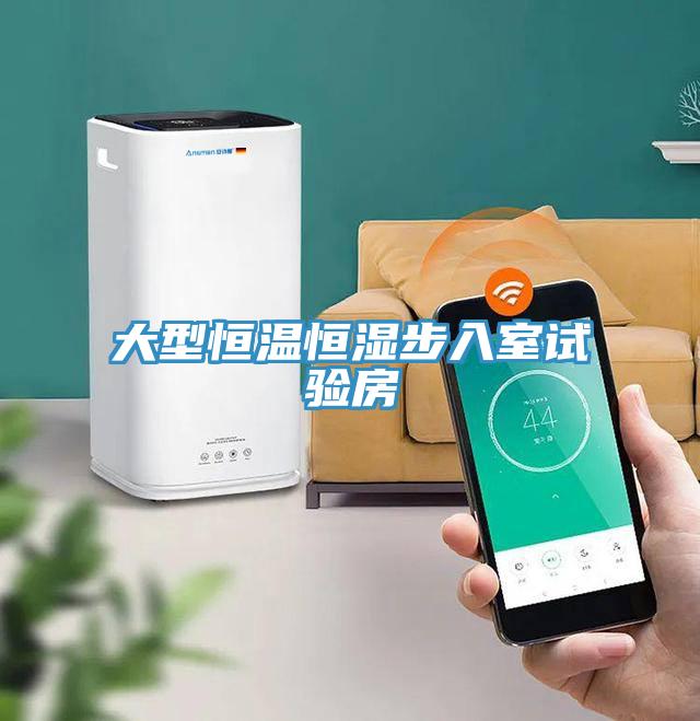 大型恒溫恒濕步入室試驗(yàn)房