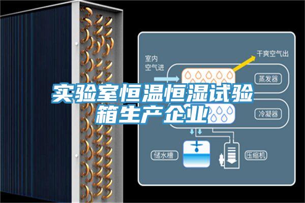 實(shí)驗(yàn)室恒溫恒濕試驗(yàn)箱生產(chǎn)企業(yè)