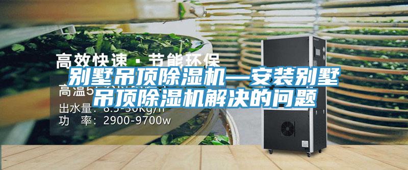 別墅吊頂除濕機—安裝別墅吊頂除濕機解決的問題