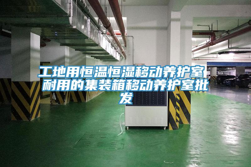 工地用恒溫恒濕移動養(yǎng)護(hù)室 耐用的集裝箱移動養(yǎng)護(hù)室批發(fā)