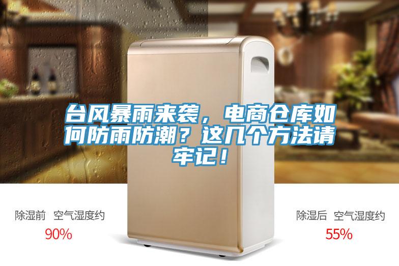 臺(tái)風(fēng)暴雨來襲，電商倉庫如何防雨防潮？這幾個(gè)方法請(qǐng)牢記！