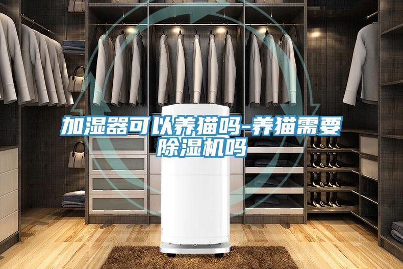 加濕器可以養(yǎng)貓嗎-養(yǎng)貓需要除濕機(jī)嗎