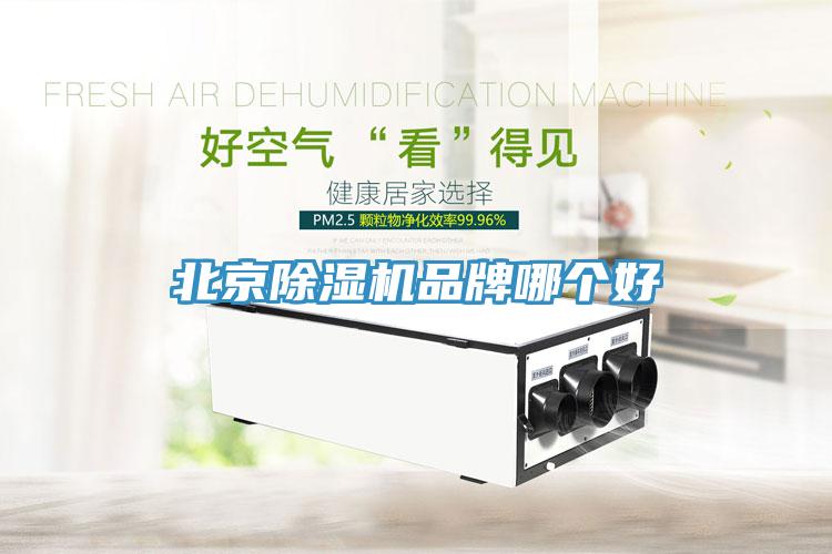 北京除濕機(jī)品牌哪個(gè)好