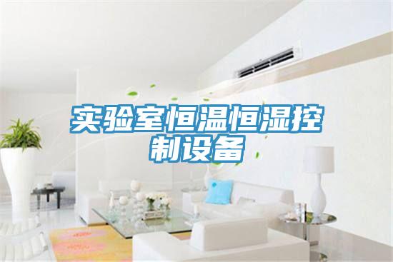 實驗室恒溫恒濕控制設備