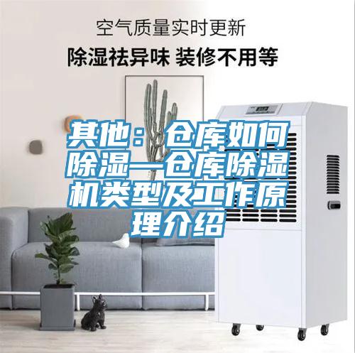 其他：倉(cāng)庫(kù)如何除濕—倉(cāng)庫(kù)除濕機(jī)類型及工作原理介紹