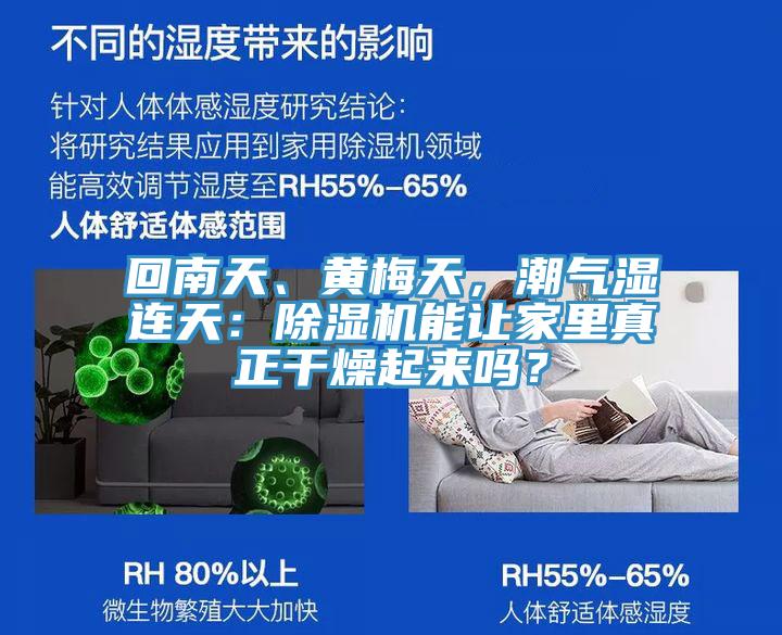 回南天、黃梅天，潮氣濕連天：除濕機(jī)能讓家里真正干燥起來嗎？